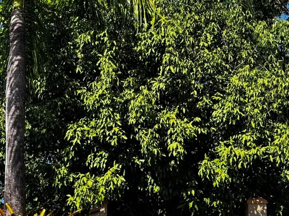 A Cond Cv #402, Vega Alta, PR 00692