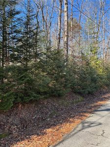 686 W Cove Dr, Mountain Rest, SC, 29664