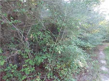 2nd image of 755 County Road 40 W