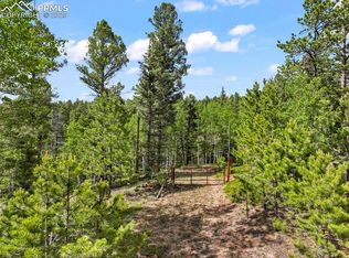65 Spruce Creek Rd, Divide, CO 80814
