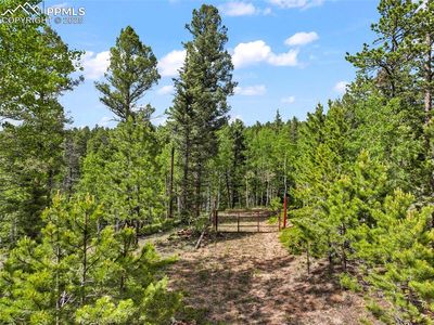 65 Spruce Creek Rd, Divide, CO, 80814