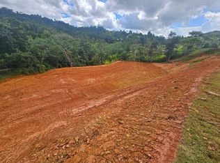 Bo Guavate 10 Carr 736 Km #HOME 7.6, Cayey, PR 00736