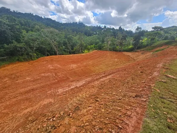 Bo Guavate 10 Carr 736 Km #Home 7.6, Cayey, PR 00736