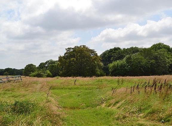 4th image of 845 County Road 2600