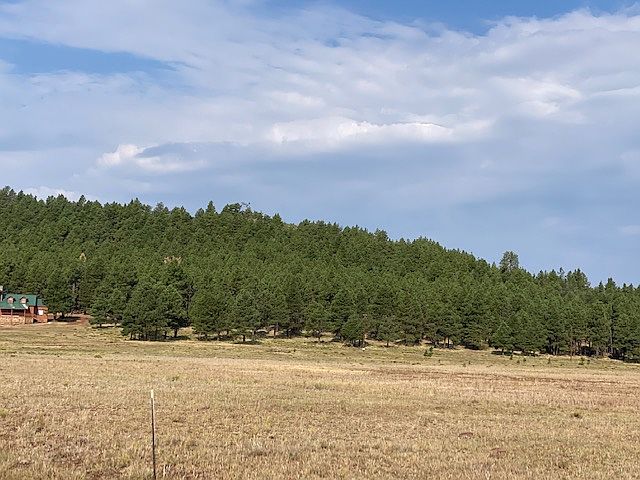 5-acre parcel, treed lot