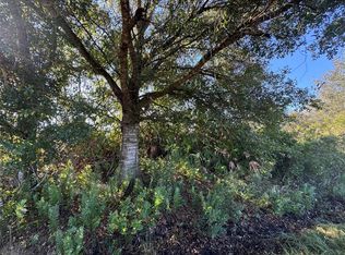 14928 NW 260th St, Basinger, FL 34972