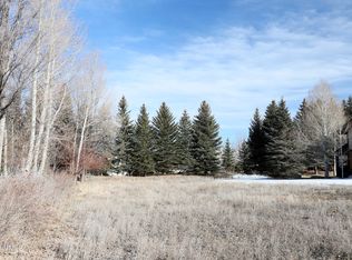 191 Black Bear Dr, Gypsum, CO 81637