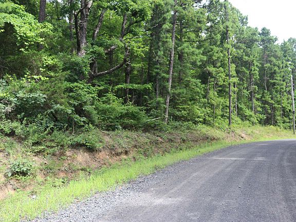 3rd image of Long Branch Ln