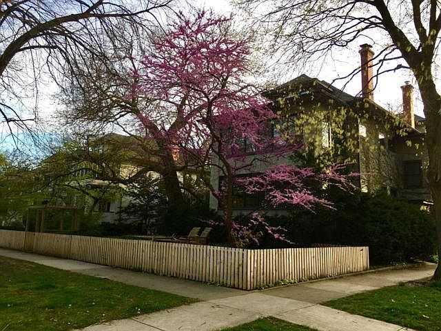 1st image of 201 S Taylor Ave