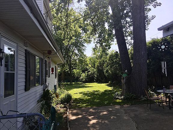 Back yard