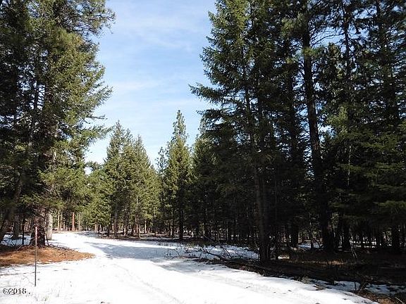 4th image of 300 Black Bear Ln
