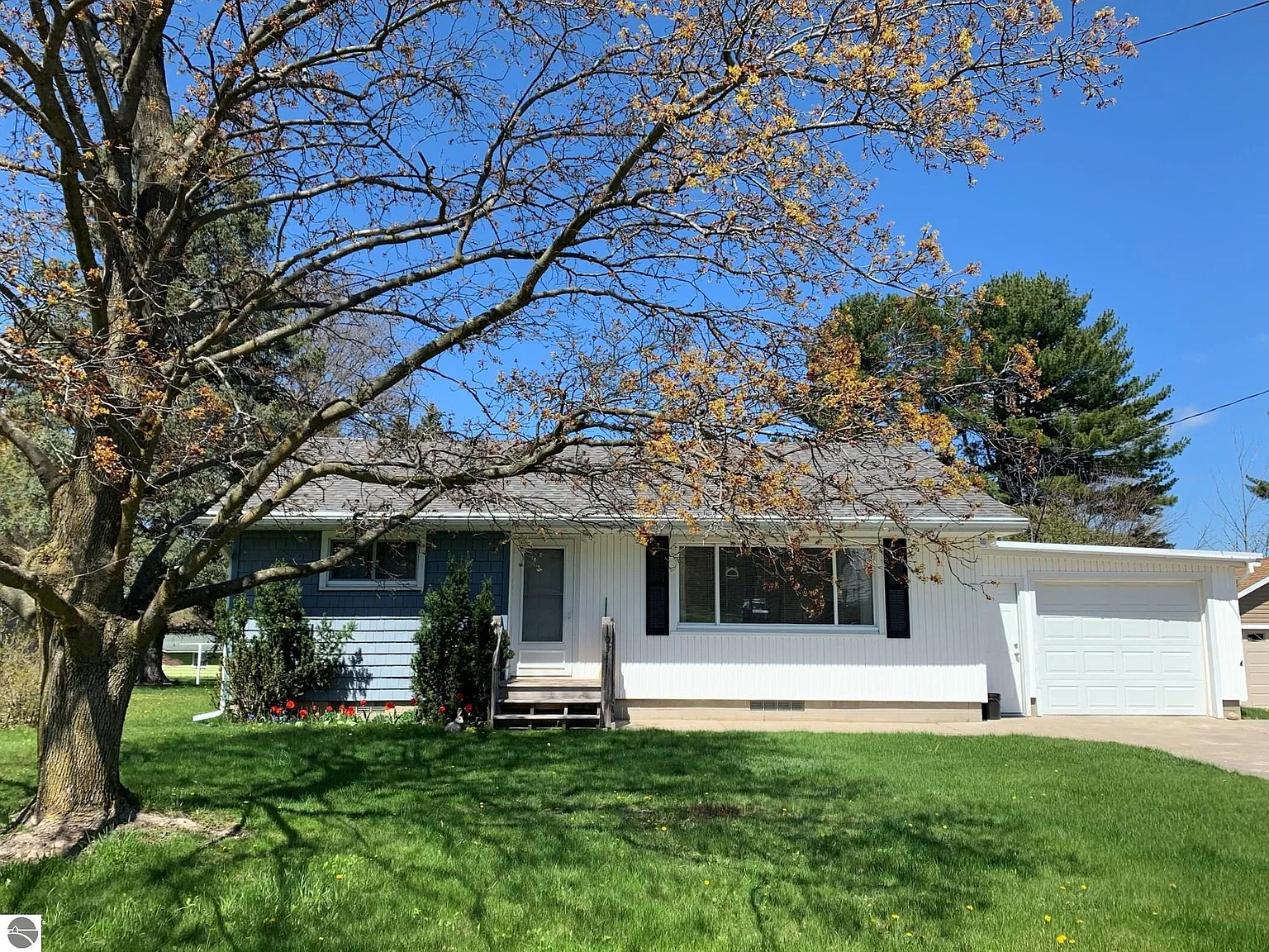 2 bed, 1.0 bath, $1,800 — Photo 2