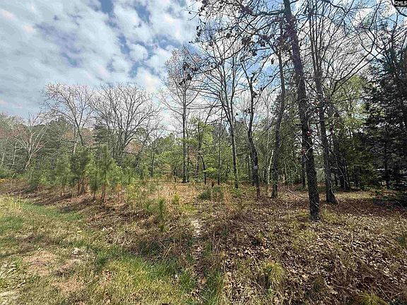 4th image of 129 Treemount Ln