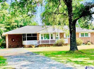7036 Friendfield Rd, Effingham, SC 29541