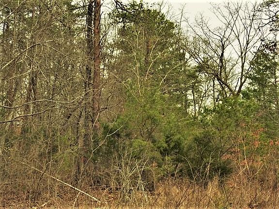 5th image of 0 Lakeview Dr