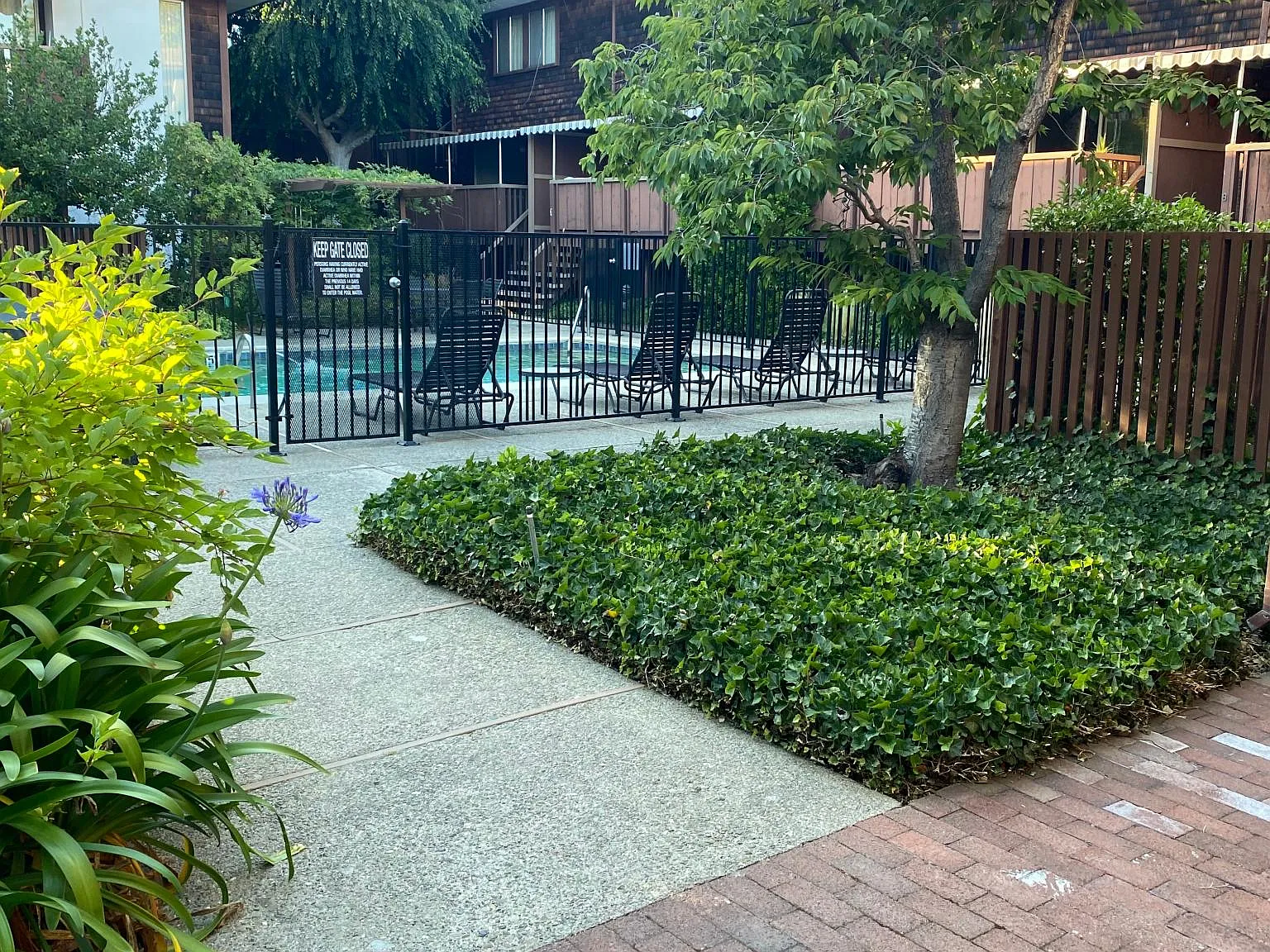 1 bed, 700 sqft, $3,350 — Photo 2