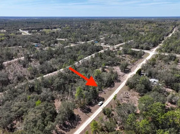 NE 65th St Lot 7, Williston, FL 32696