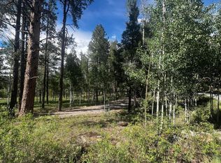 7 1063rd, Greer, AZ 85927