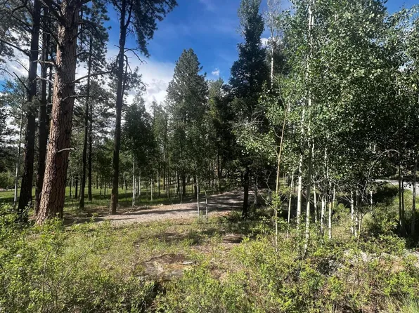 7 1063rd, Greer, AZ 85927