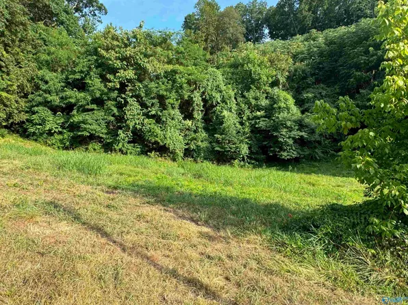 Lots 16 & 17 Timberwalk Dr, Guntersville, AL 35976