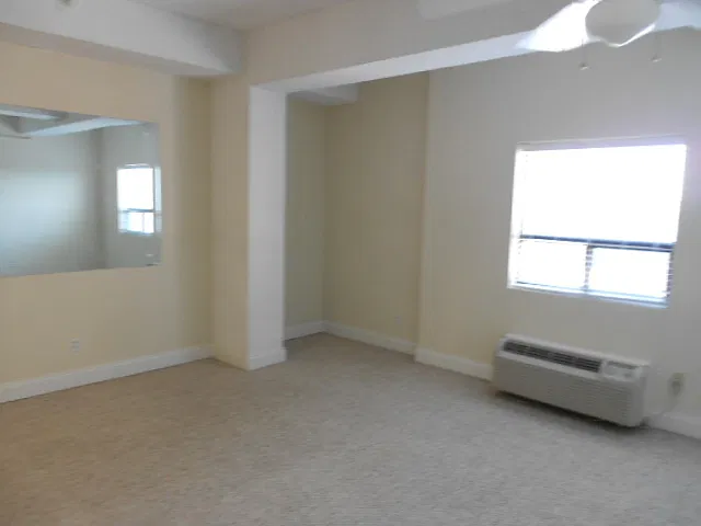 1 Bedroom in Downtown Athens — Photo 3
