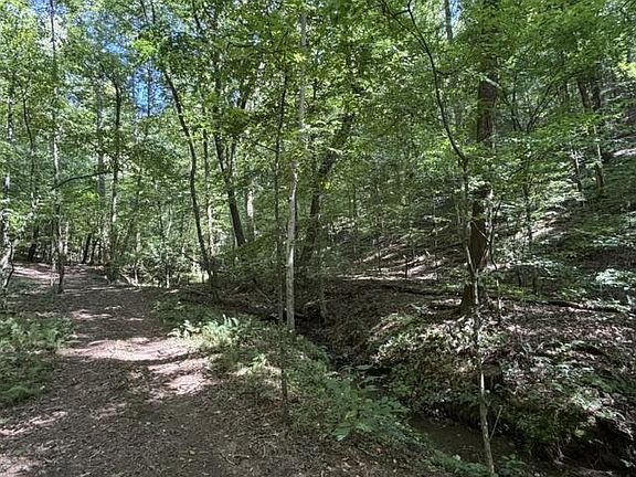 4th image of Town Road B&c Bear Hollow Way