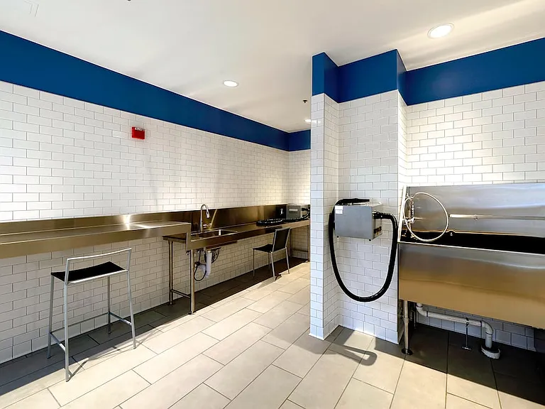 WAG pet spa with bathing area and grooming equipment
