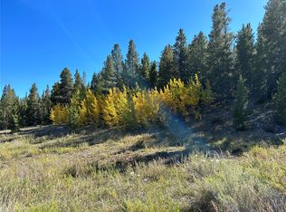 W 2nd St, Alma, CO 80420