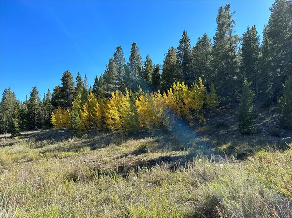W 2nd St, Alma, CO 80420