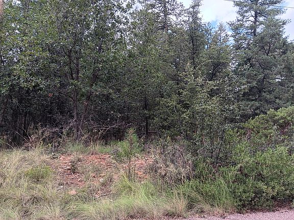 3rd image of LOT 24 N Strawberry Ln