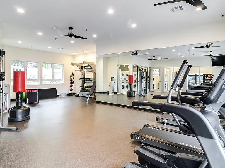 Wellness Starts Here