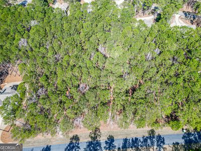 1051 Big Water Point, Greensboro, GA, 30642