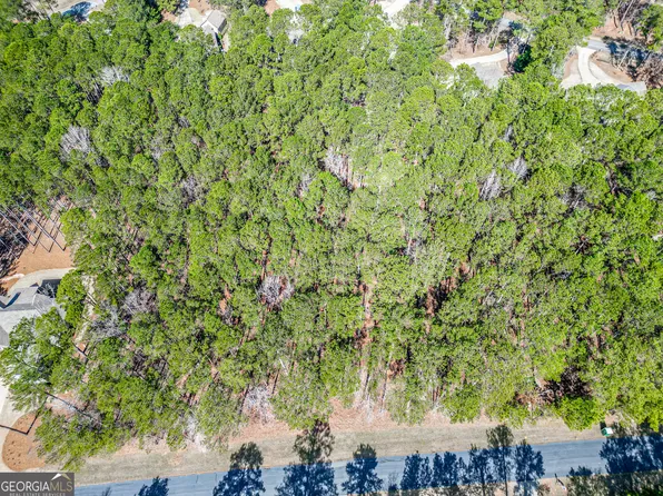 1051 Big Water Point, Greensboro, GA 30642