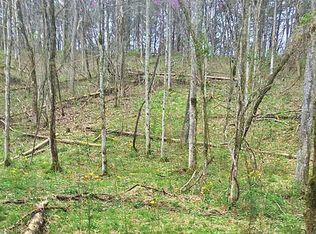 Palmer Hollow Rd, Bybee, TN 37713