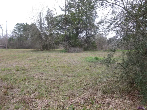 8.40 Acres Country Ln, Maurepas, LA 70449