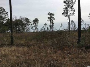 5876 Ten Acre Rd, Andrews, SC 29510