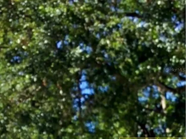 Monroe Masaryktown, Brooksville, FL 34604