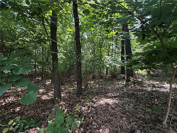 3rd image of Ventnor Dr #15