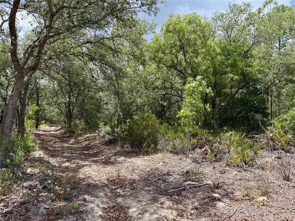 SW 200 STREET LOT 17, ARCHER, FL 32618