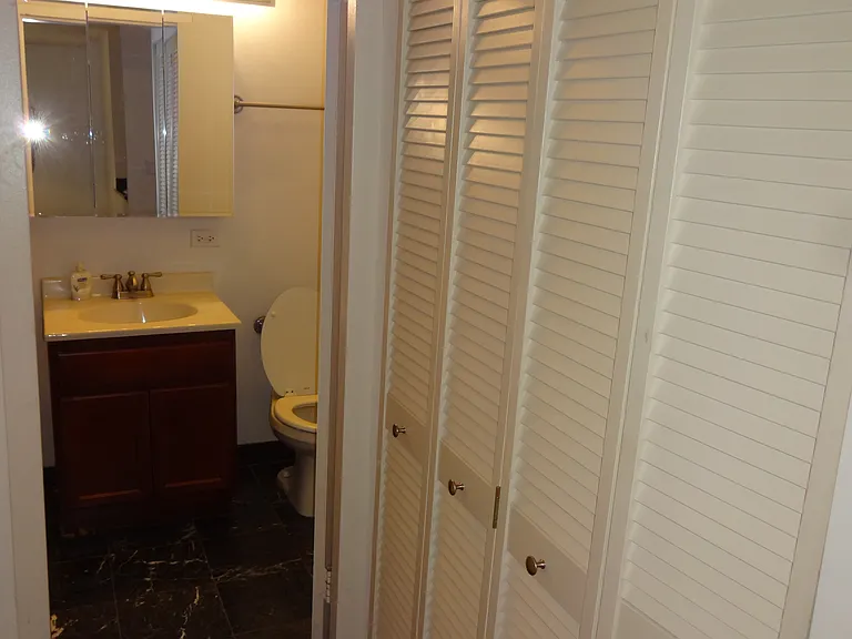 222 E Pearson St #2105 — Photo 4