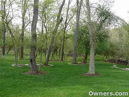 Shady place for a hammock