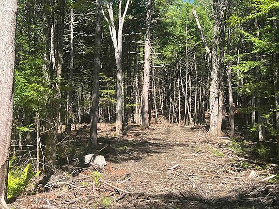 5th image of Lower Ridge Road