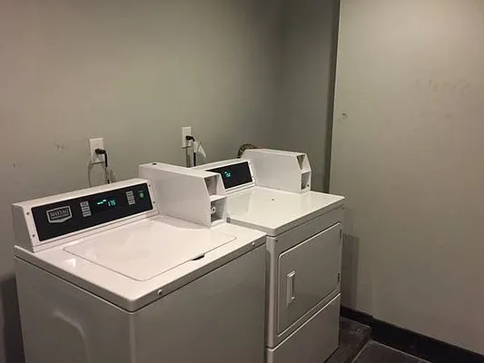 Rented by P Management | media 19