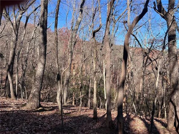 4412 Bee Tree Ridge Dr #3, Jasper, GA 30143