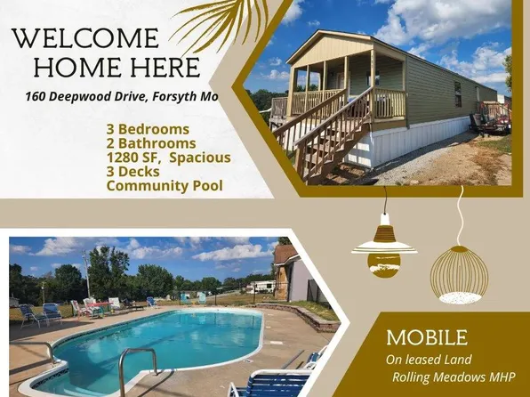 160 Deepwood Dr, Forsyth, MO 65653