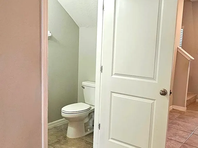 10207 Boggy Moss Dr — Photo 11