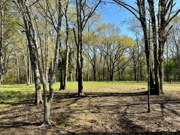 000-1 County Road 2250, Ivanhoe, TX 75447