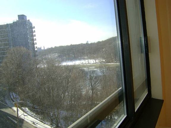 VIEW FROM BEDROOM