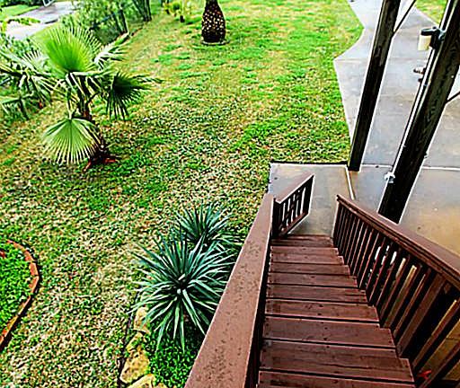 Just look at the landscaping..fully fenced!