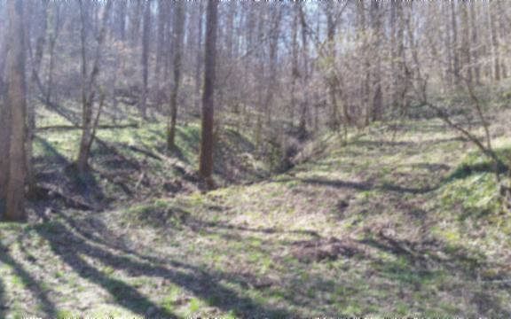 3rd image of T-short Lane